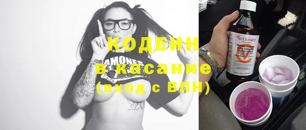 apvp Инсар