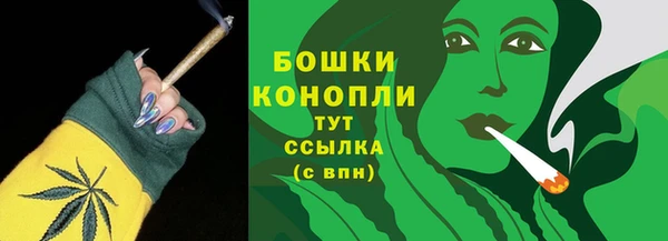 ешки Иннополис