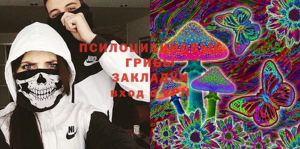 apvp Инсар