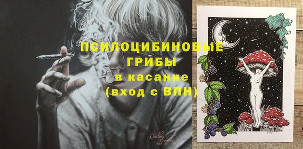 ешки Иннополис