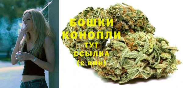 apvp Инсар