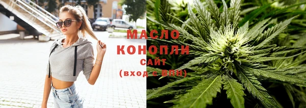 apvp Инсар