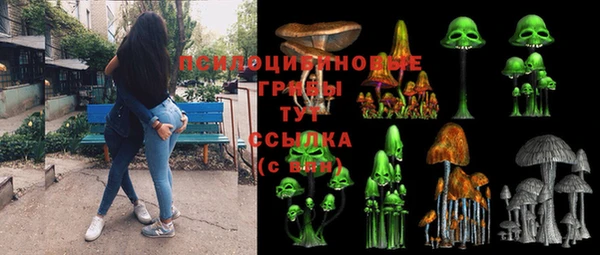 ешки Иннополис