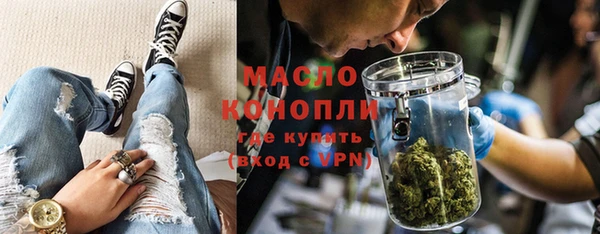 apvp Инсар