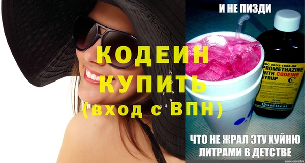 apvp Инсар