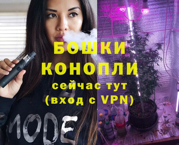 ешки Иннополис