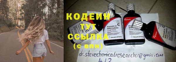 ешки Иннополис