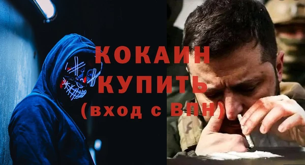 apvp Инсар