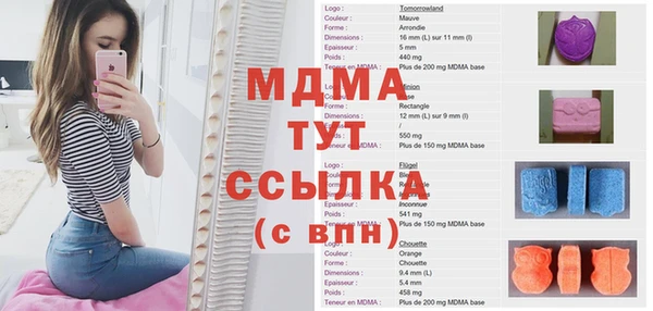 apvp Инсар