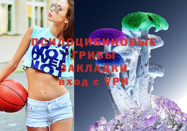 ешки Иннополис