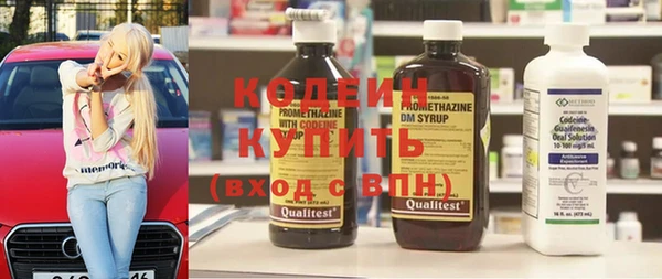 ешки Иннополис